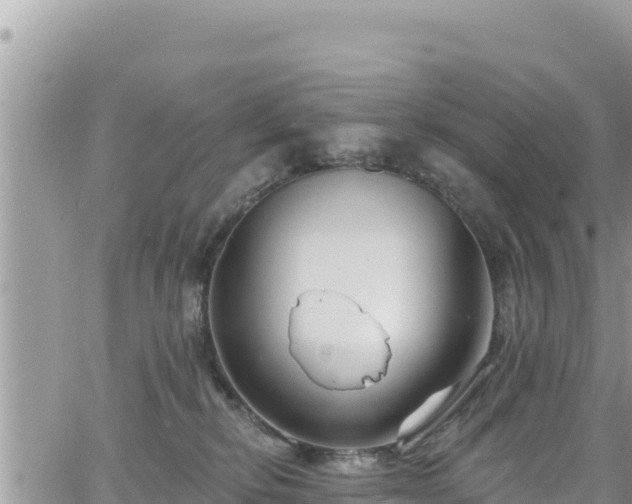 X0000065260278200602211257