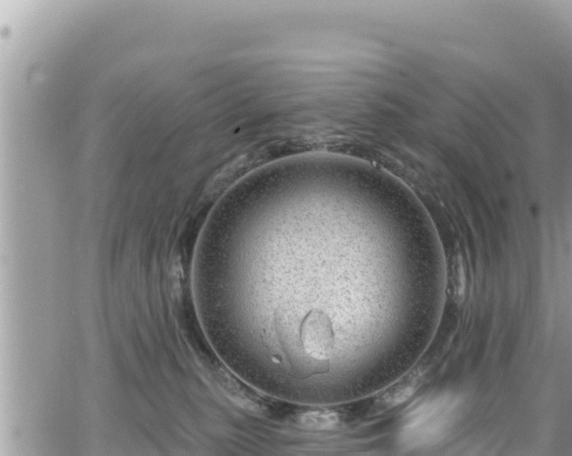 X0000065260279200602211257