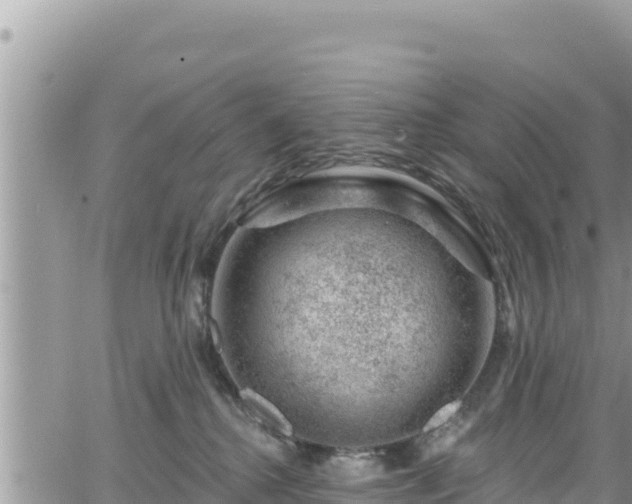 X0000065260280200602211257