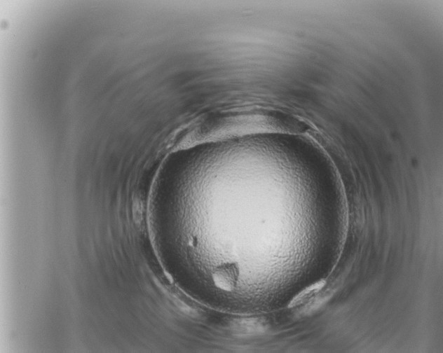 X0000065260281200602211257