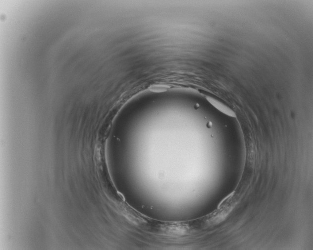 X0000065260282200602211257