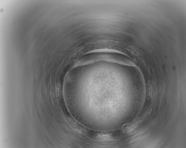 X0000065260283200602211257