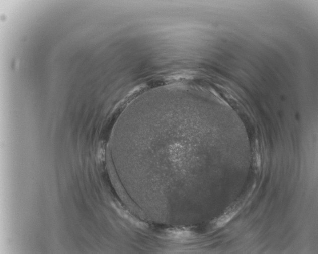 X0000065260284200602211257