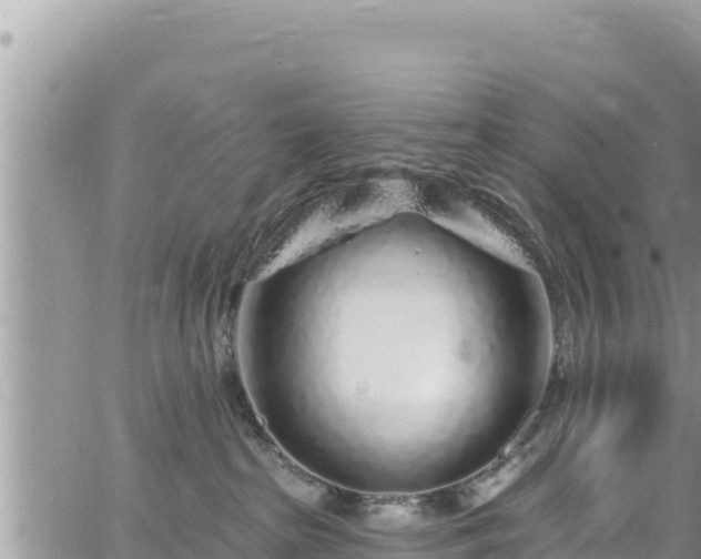 X0000065260285200602211257