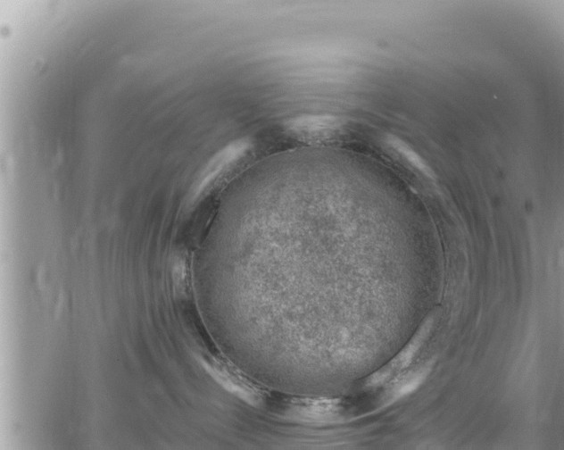 X0000065260288200602211258