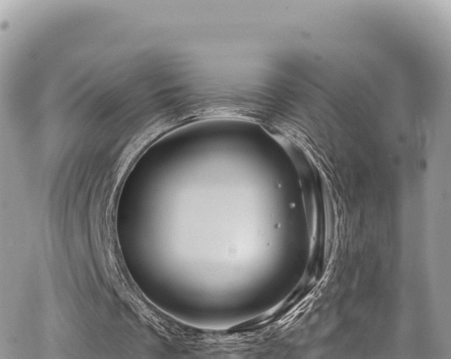 X0000065260289200602211257