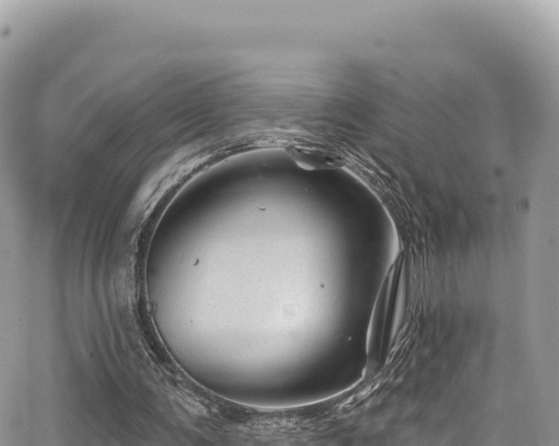 X0000065260291200602211257