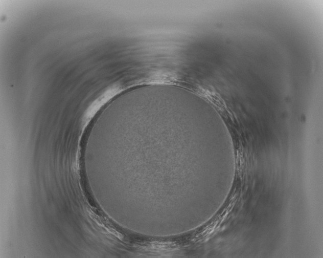 X0000065260292200602211257