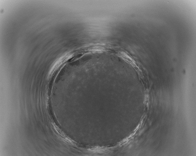 X0000065260293200602211257