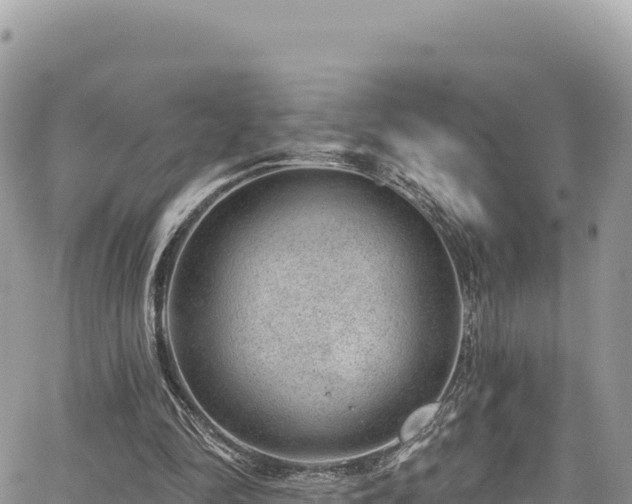 X0000065260294200602211257