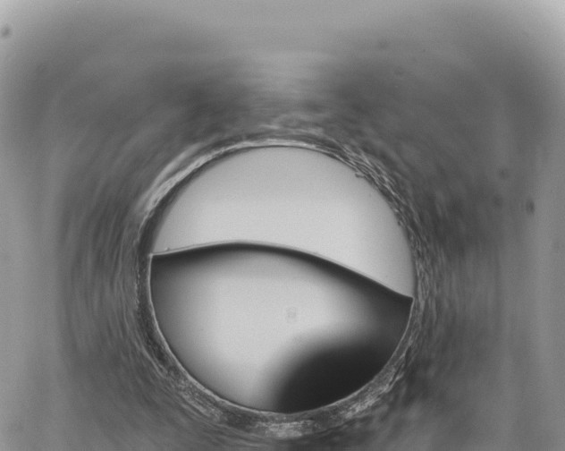 X0000065260295200602211257