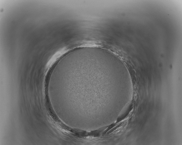 X0000065260296200602211257