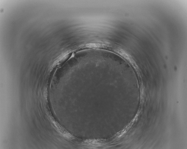 X0000065260297200602211257