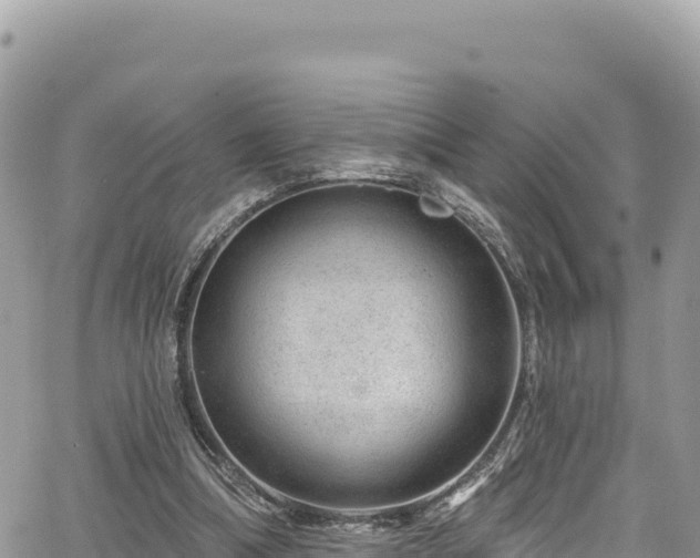 X0000065260298200602211257