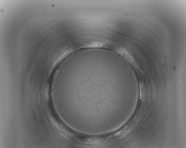 X0000065260300200602211256