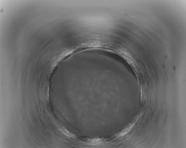 X0000065260301200602211256