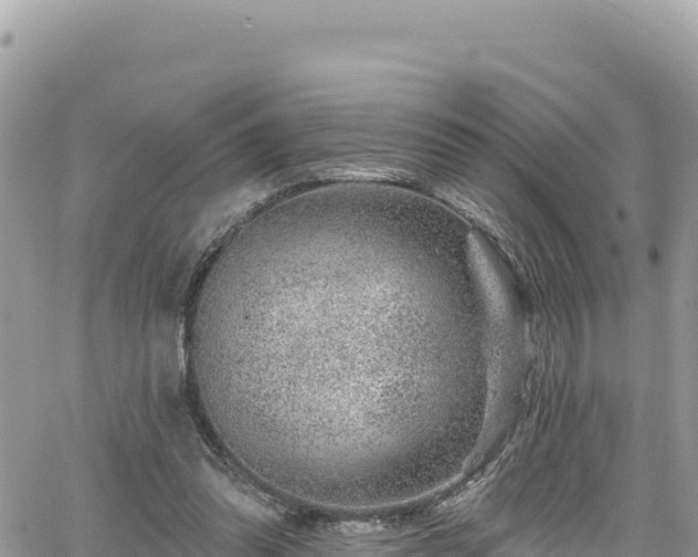 X0000065260302200602211256