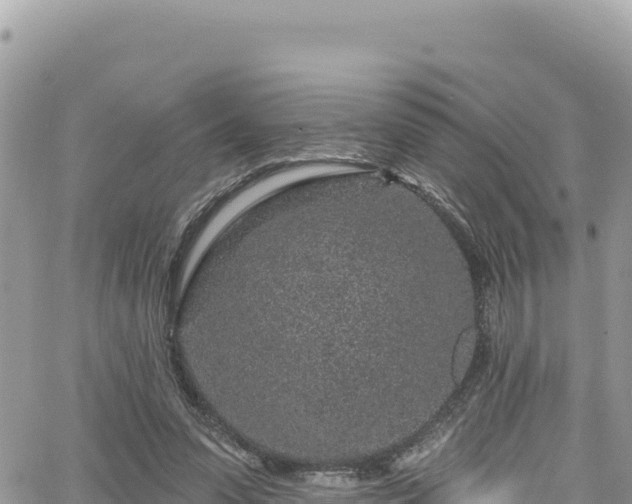 X0000065260303200602211256