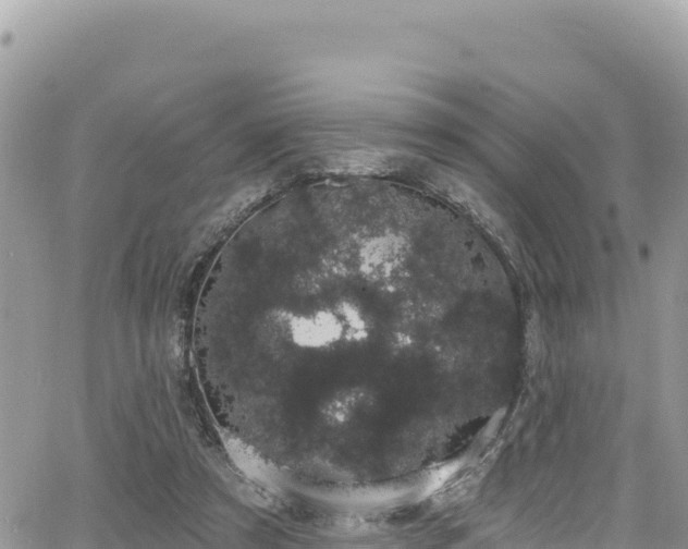 X0000065260305200602211256