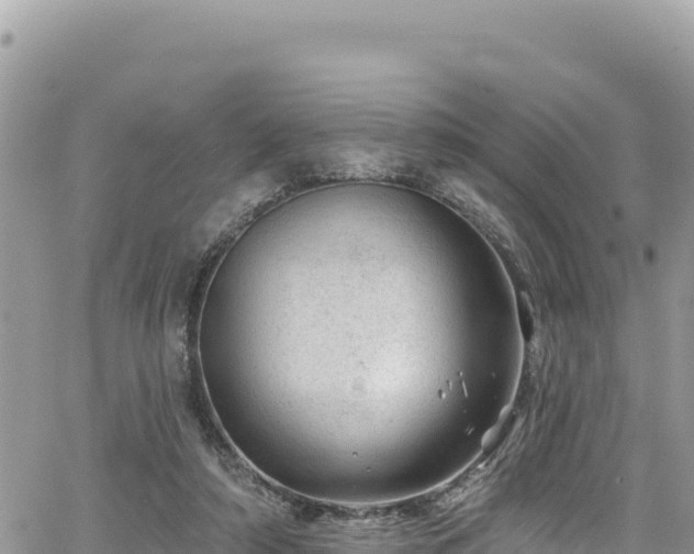 X0000065260306200602211256