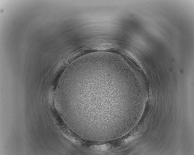 X0000065260307200602211256