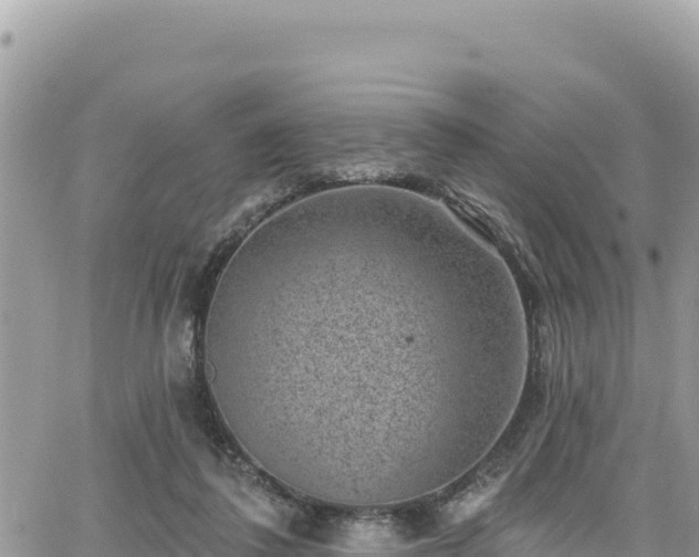 X0000065260308200602211256