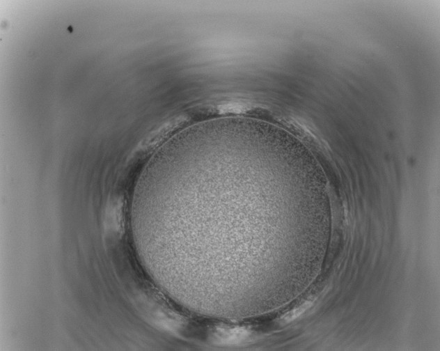 X0000065260311200602211256