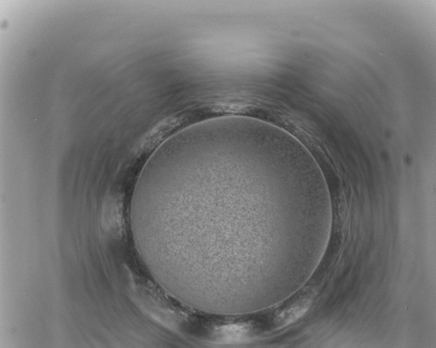 X0000065260312200602211256