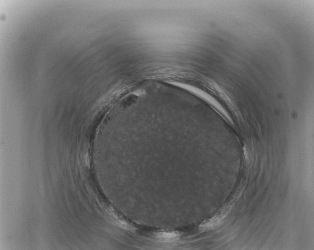 X0000065260313200602211256