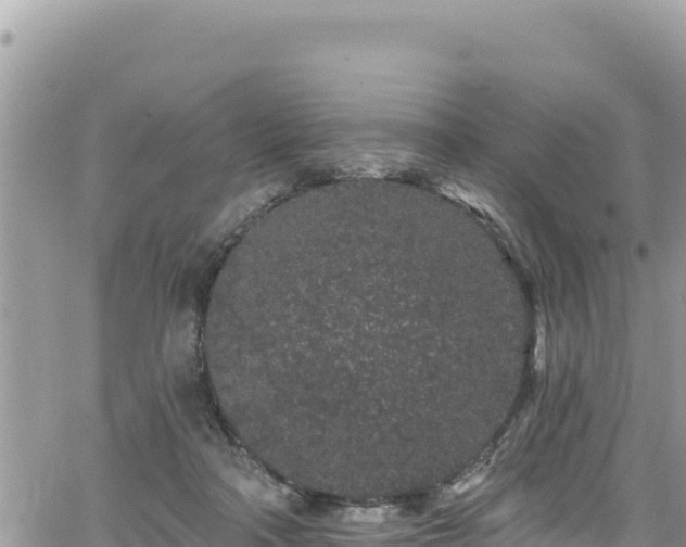 X0000065260314200602211256