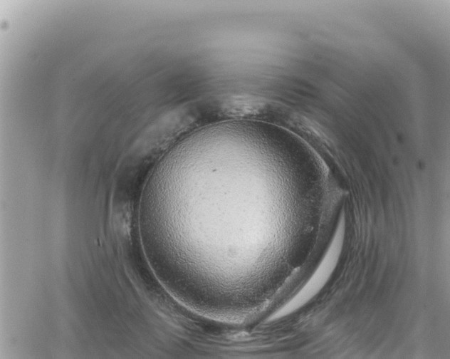 X0000065260315200602211256