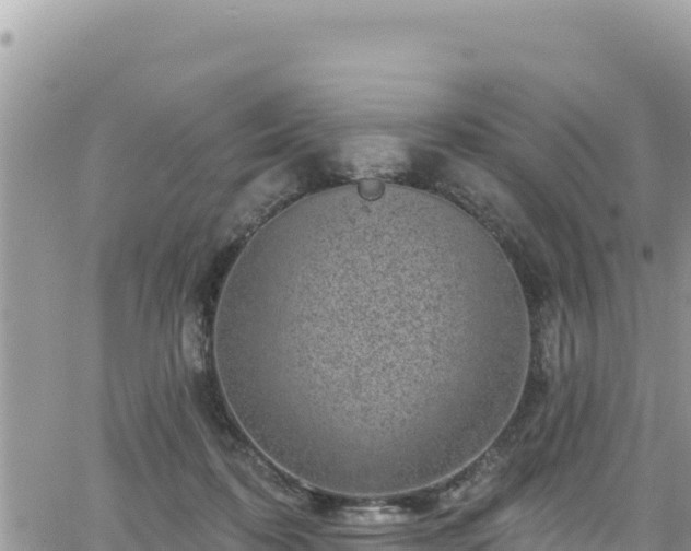 X0000065260316200602211256