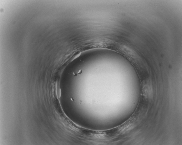 X0000065260318200602211256