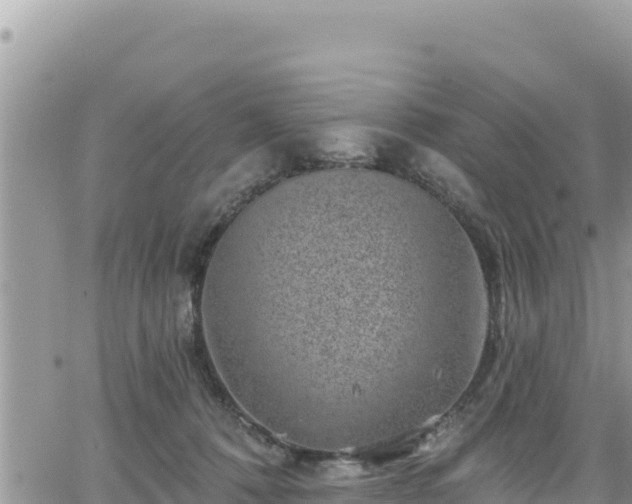 X0000065260320200602211256