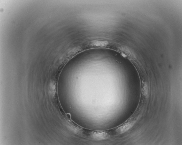 X0000065260321200602211256