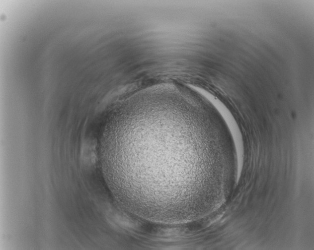 X0000065260323200602211256