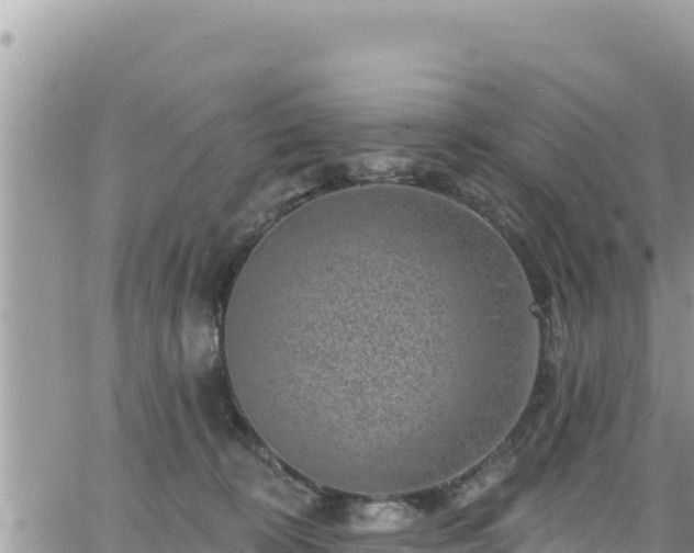 X0000065260324200602211256