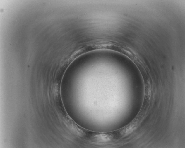 X0000065260326200602211256