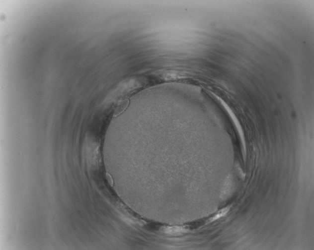 X0000065260327200602211256