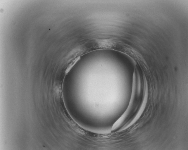 X0000065260329200602211256