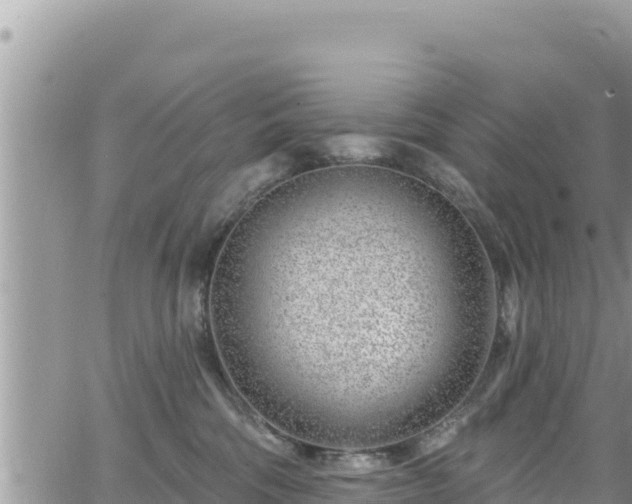 X0000065260330200602211256