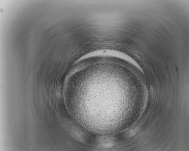 X0000065260331200602211256