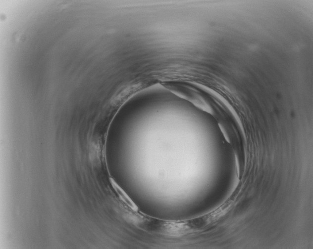 X0000065260333200602211256