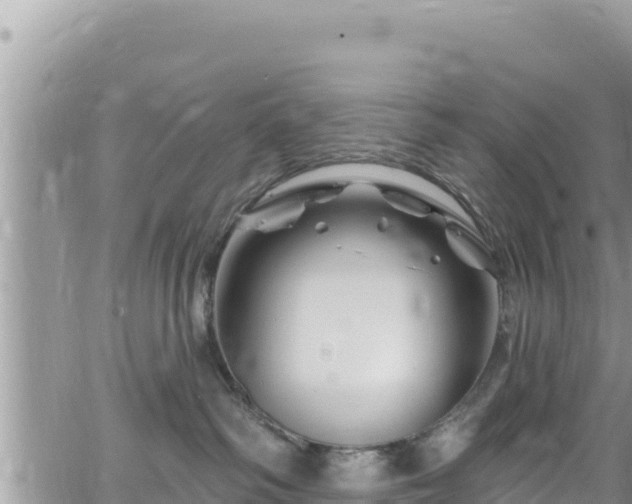 X0000065260334200602211256