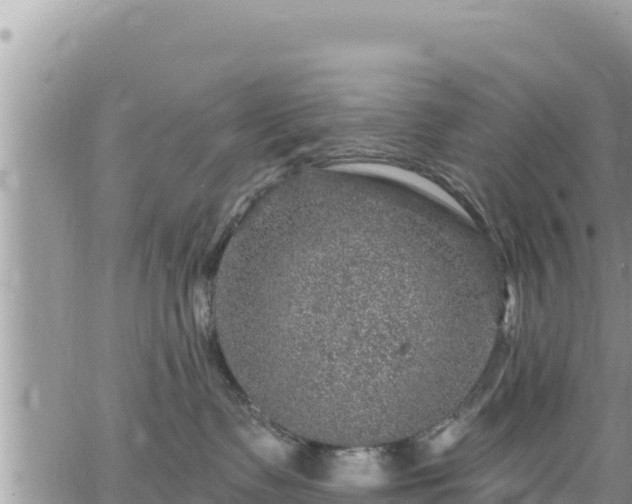 X0000065260335200602211256