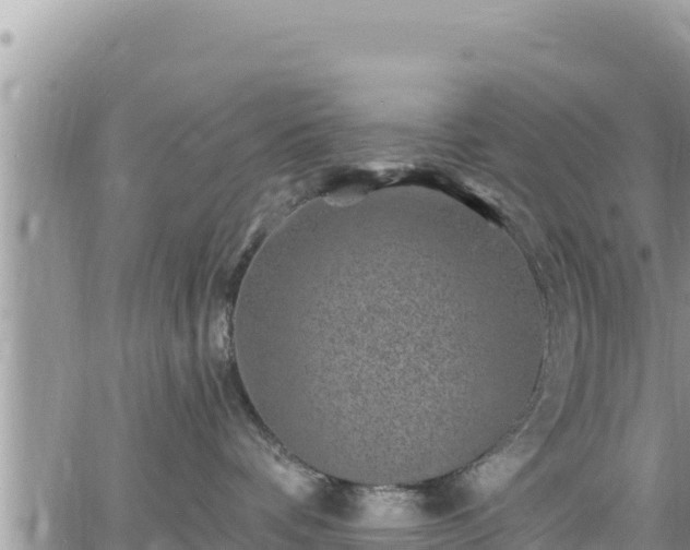 X0000065260336200602211256