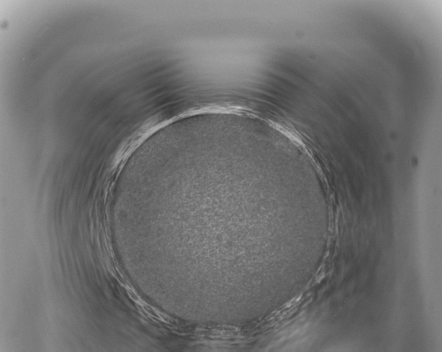 X0000065260337200602211255