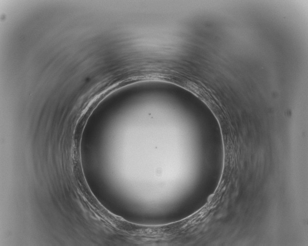 X0000065260338200602211255