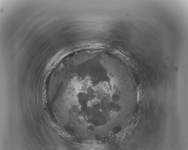 X0000065260339200602211255