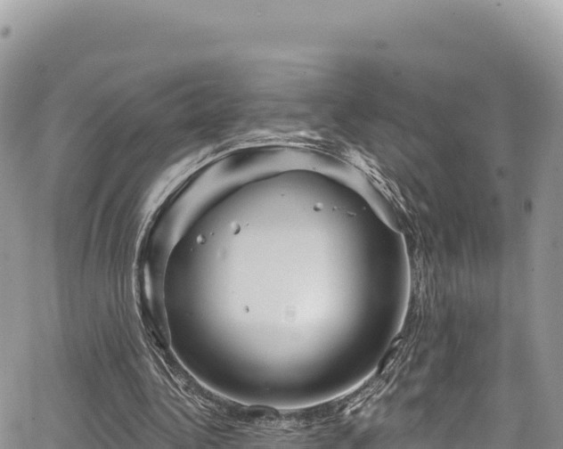 X0000065260340200602211255